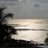 SANVE's profile image