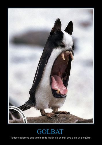 programmer_life's profile picture. 