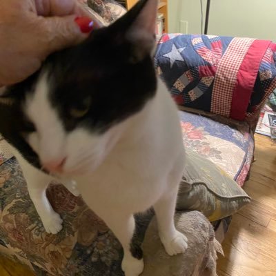 linda01779998's profile picture. Retired. A pastry chef. Infectious disease specialist. Grandma to the most beautiful grandchildren ever!! Live on the beach. Happy. Healthy