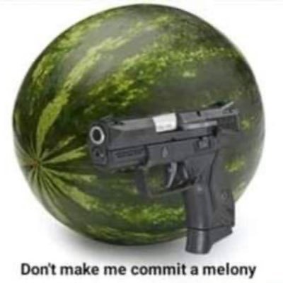 Policy313's profile picture. 