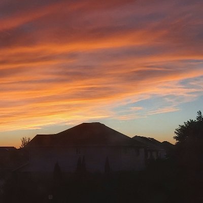 Ch_sindhu5's profile picture. A leader in life and living.