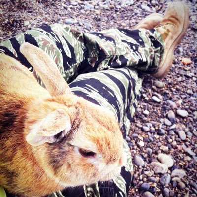 業務から退役したカブ達をレストアしてます垢だったのが、いつの間にかZZR系垢になってます 97'ZZR1100D →目指せ動態保存! 、20'ZX14R→ZZRシリーズ最終進化形! カブは90DX、プレスカブ50、カスタム50、STD50 無言フォローごめんなさい