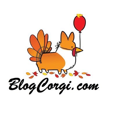 blogcorgi1's profile picture. BLOGCORGI - Dịch Vụ Chó Corgi