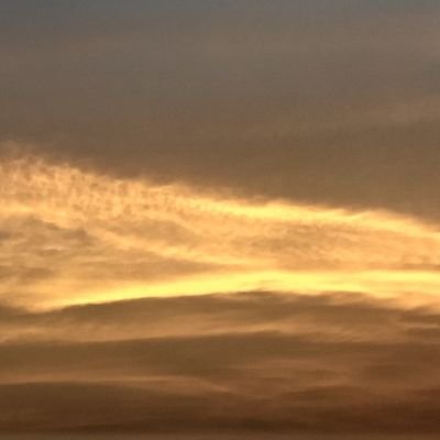 PravinS86148621's profile picture. 