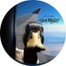 Gansejandro Magno 🦆🗡️🛡️ (@vale___mx) Twitter profile photo Gansejandro Magno 🦆🗡️🛡️ (@vale___mx) Twitter profile photo