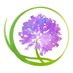 Allium Montessori (@alliumontessori) Twitter profile photo Allium Montessori (@alliumontessori) Twitter profile photo