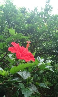 岡部洋一さんのプロフィール画像