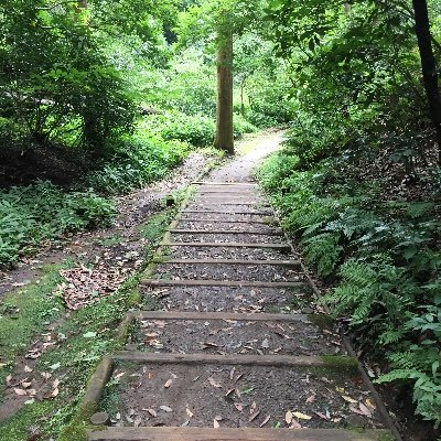 nao68670995's profile picture. 