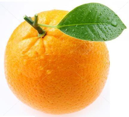 Sua frutaria on line.
atendimento@frutassalim.com.br