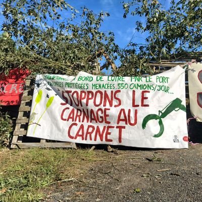 En lutte contre la destruction du site naturel du Carnet