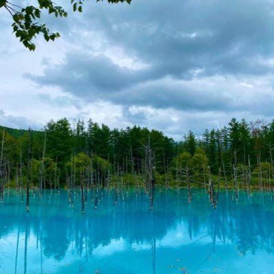 J2ezEgPzHhJjlbu's profile picture. 