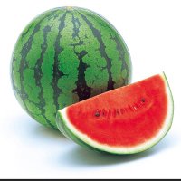 スイカのスロット屋🍉(suica編) (@suicaa_melonn31) 's Twitter Profile