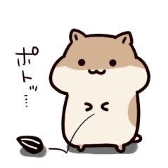 はむぽこさんのプロフィール画像