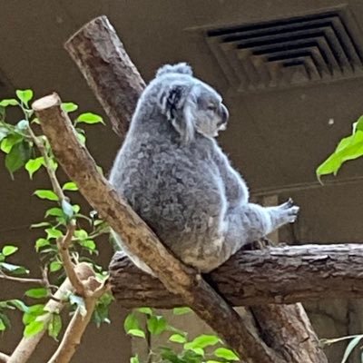 あみか On Twitter やっぱりシソンヌ面白い笑 この部分好き笑 ひょうきんすぎて シソンヌ 明るい引きこもり