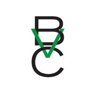 B Venture Capital (BVC)(@BVCapital) 's Twitter Profile Photo