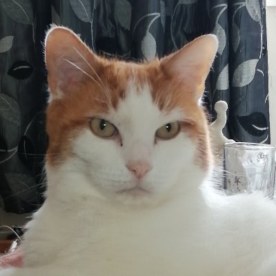 LauraJa60527805's profile picture. 