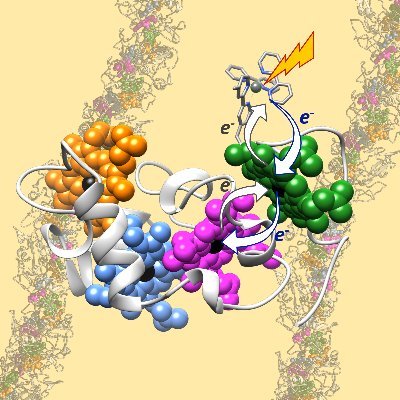 Research lab at the UEA.  
Resolving structure & function of metalloproteins and developing biohybrid materials for light-driven chemistry