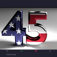 IAMAMERICAN(@VetPatriotArmy) 's Twitter Profileg