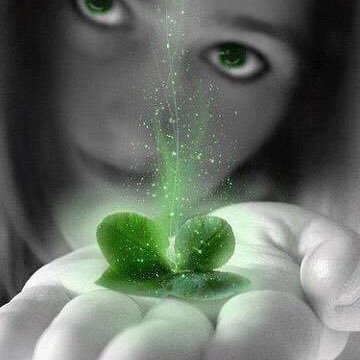 SandrineTorres6's profile picture. 