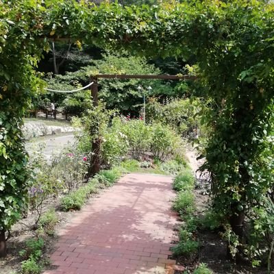 tropen111's profile picture. ケモナーで男の娘好きかつ、BL、GL好きです。ケモノBLとかも特に好きです。
男の娘やNHさんを美しいと思います。
趣味はトレーニングで仕事は医療系統やってます。よろしくお願いいたします