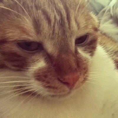 __Yvonne__520's profile picture. 喜欢fo 女推友，男推友不一定会回fo。不需要礼貌性回fo。