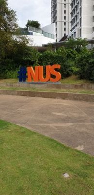 MistySSWC's profile picture. Deputy Director, Centre for English Language Communication; Director of student Life, College of Alice & Peter Tan (CAPT), National University of Singapore.