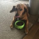 Faith Fields - @fieldsgagglemom - Twitter