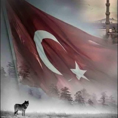 kurumsal_tv's profile picture. Finansal Analizler, Bilgi Paylaşımı, Grafikler, İş Dünyası Güncel İhtiyaçlar