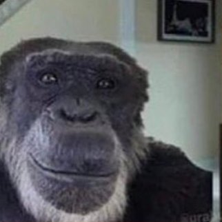 bigmacnobrim's profile picture. An Intelligent boy A handsome boy A boy of many talents