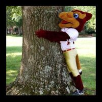 Elon Sustainability(@SustainableElon) 's Twitter Profile Photo