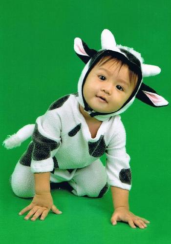 randzkaidrei's profile picture. 