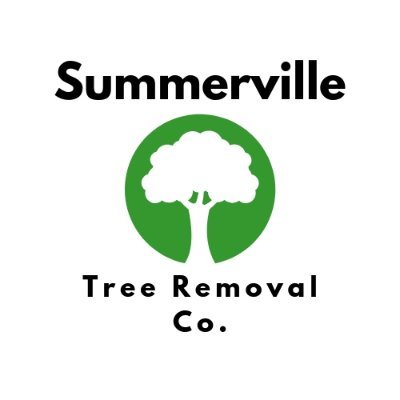 treeremoval_sc's profile picture. Summerville Tree Removal Co. | 102 S Palmetto St Summerville, SC 29483 | (843) 845-6009

We offer more than just removal to tree customers in the city. CALL US!