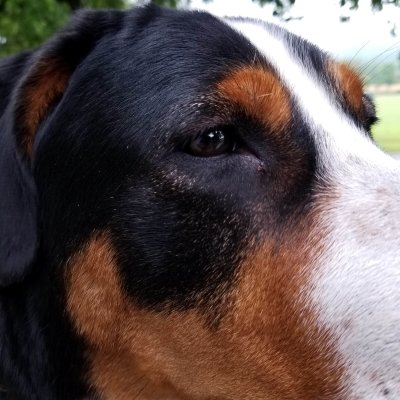 onemoney's profile picture. To better predict the future, look to the stupidity of the past.