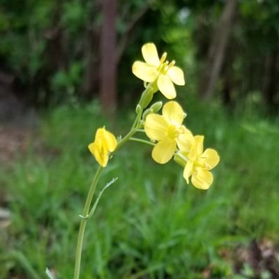 sprpttrwhlck's profile picture. • tired but I try to keep going • 🏳️‍🌈🇨🇦 •