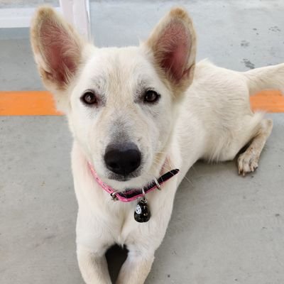 kithub2's profile picture. 