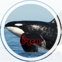 OrcaGamingCoC's profile picture. bad at life