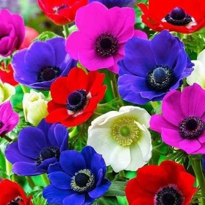 ‏يارب رحمتك أرجو⚘⚘