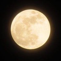 moonbeams (@moonbea27283995) 's Twitter Profile