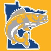 D3 Walleye Hockey(@D3Walleye) 's Twitter Profile Photo