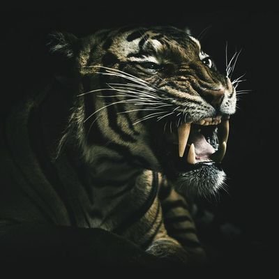 AbidIma22289289's profile picture. 