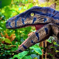 Dinomania (@dinomania_uk) 's Twitter Profile