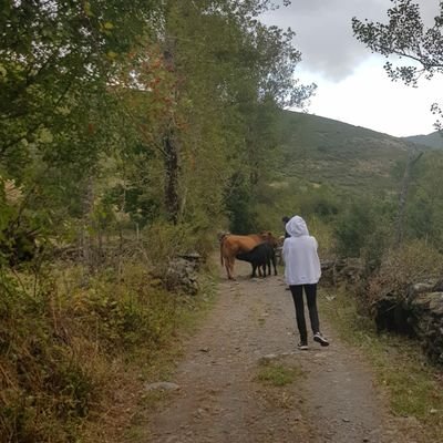 marisa_fornela's profile picture. 