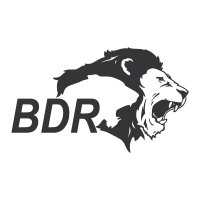 BDR Pharmaceuticals(@BDRPharma) 's Twitter Profile Photo