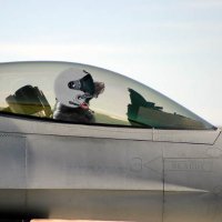 SupersonicSkunk (@supersonicskunk) 's Twitter Profile