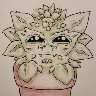 The Cactus Dragonさんのプロフィール画像