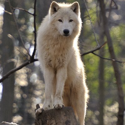 ET_Healers's profile picture. I am being