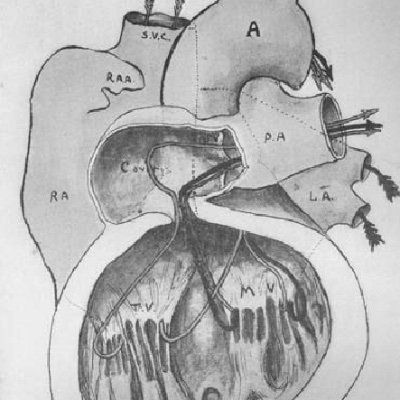 Pediatric/congenital cardiology education Profile