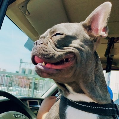 iamthemaster87's profile picture. 