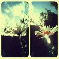Believe it.. Dream it... Be it... 3
