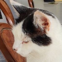 Living with Motor Neurone Disease (@jjoseph248) 's Twitter Profile